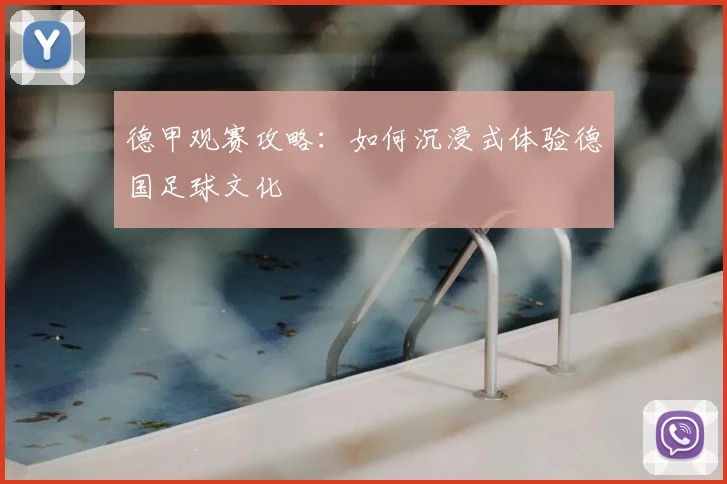 德甲观赛攻略：如何沉浸式体验德国足球文化