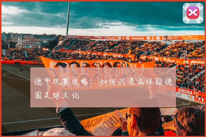 德甲观赛攻略：如何沉浸式体验德国足球文化